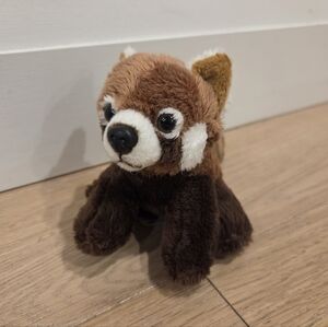 ADVENTURE PLANET | Red Panda